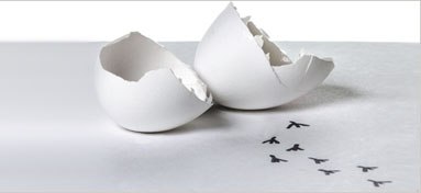 Nou Programa d’iniciació a la innovació d’ACCIÓ