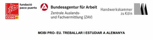 Mobi Pro-EU, Treballar i estudiar a Alemanya