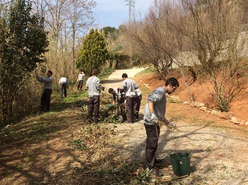 El programa JOVES PER L’OCUPACIÓ 2016 obre les preinscripcions per a 10 joves de Martorell