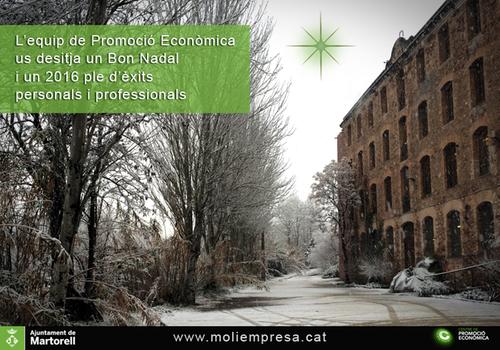 Bon Nadal i un 2016 ple d’èxits personals i professionals!