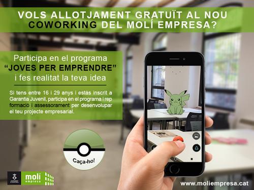 VOLS ALLOTJAMENT GRATUÏT 1 ANY AL NOU COWORKING DEL MOLÍ EMPRESA? PARTICIPA EN EL PROGRAMA JOVES PER EMPRENDRE I FES REALITAT LA TEVA IDEA