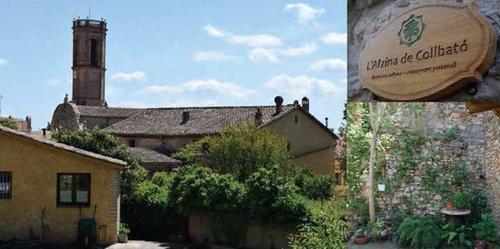 Brunch, Activitats de Teamcooking i Bany de Bosc a l’Alzina de Collbató