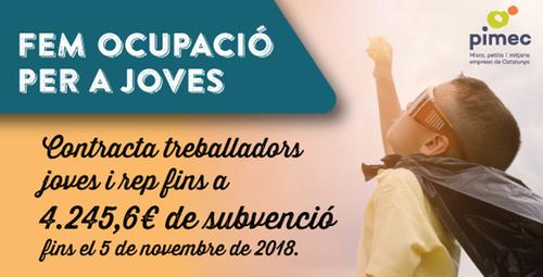 Contracta treballadors joves i rep ?ns a 4.245,6 de subvenció ?ns el 5 de novembre de 2018