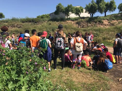 Les cooperatives escolars de Martorell realitzen una visita i tast a la cooperativa l’Olivera