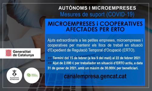 (AUTÒNOMS-MICROEMPRESES] Ajuts extraordinaris a les petites empreses, microempreses i cooperatives per mantenir els llocs de treball en situació d’Expedient de Regulació Temporal d’Ocupació (ERTO)