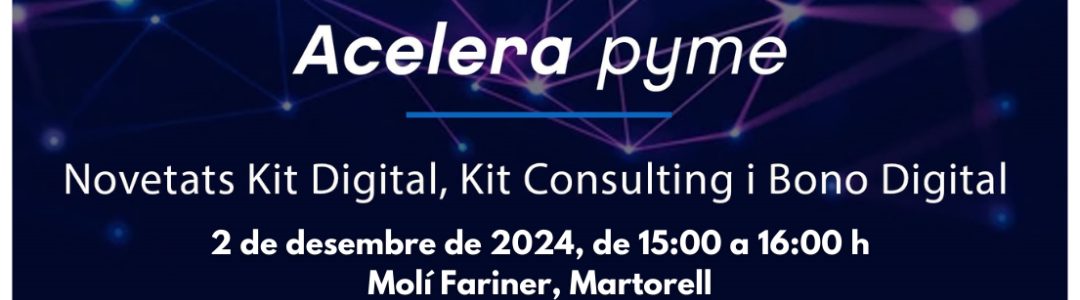 Kit Digital i Kit Consulting